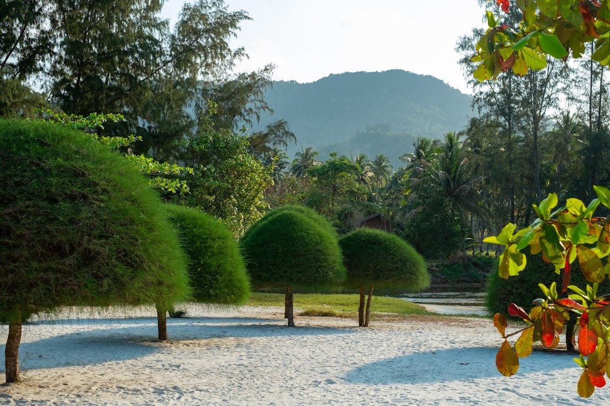 Where to Stay on Koh Phangan: Best Areas for Every Traveler